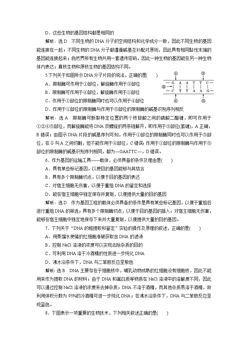 人教版高中生物选择性必修3课时跟踪检测（十二） 重组DNA技术的基本工具含答案第2页