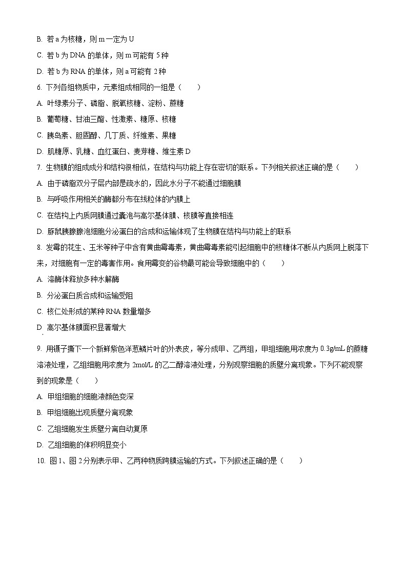 云南省宣威市2023-2024学年高一上学期期末考试生物试题 Word版无答案第3页