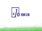 人教版高中生物选择性必修3第1章发酵工程第1节传统发酵技术的应用课件