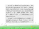 人教版高中生物选择性必修3第1章发酵工程第1节传统发酵技术的应用课件