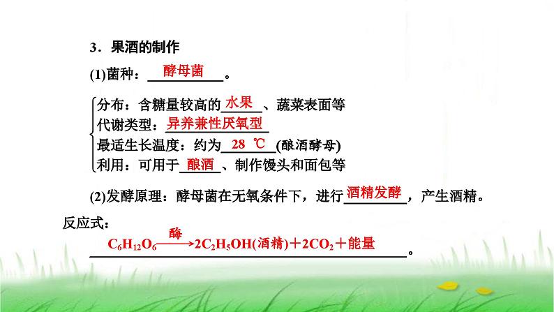 人教版高中生物选择性必修3第1章发酵工程第1节传统发酵技术的应用课件第8页