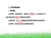 人教版高中生物选择性必修3第1章发酵工程第2节第1课时微生物的基本培养技术课件