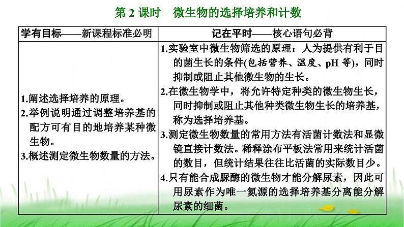 人教版高中生物选择性必修3第1章发酵工程第2节第2课时微生物的选择培养和计数课件01