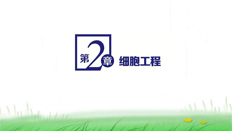 人教版高中生物选择性必修3第2章细胞工程第1节第1课时植物细胞工程的基本技术课件第1页