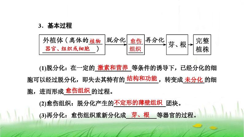 人教版高中生物选择性必修3第2章细胞工程第1节第1课时植物细胞工程的基本技术课件第7页