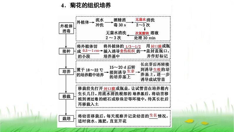 人教版高中生物选择性必修3第2章细胞工程第1节第1课时植物细胞工程的基本技术课件第8页