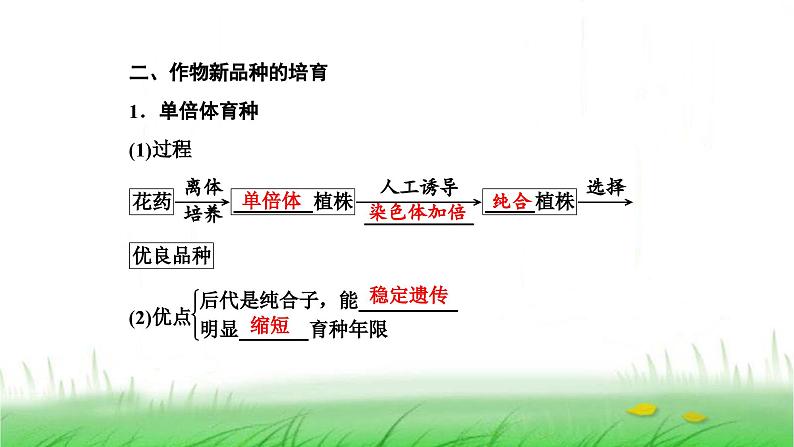 人教版高中生物选择性必修3第2章细胞工程第1节第2课时植物细胞工程的应用课件04