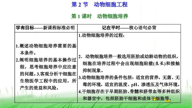 人教版高中生物选择性必修3第2章细胞工程第2节第1课时动物细胞培养课件01