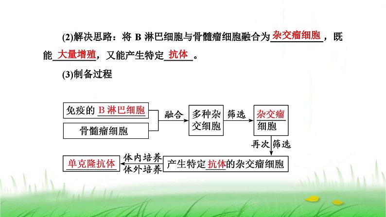 人教版高中生物选择性必修3第2章细胞工程第2节第2课时动物细胞融合技术与单克隆抗体课件04