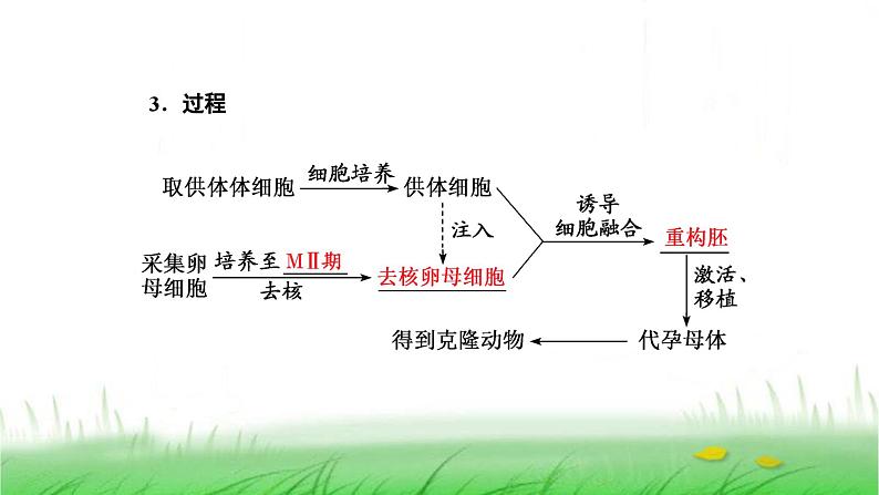 人教版高中生物选择性必修3第2章细胞工程第2节第3课时动物体细胞核移植技术和克隆动物课件03