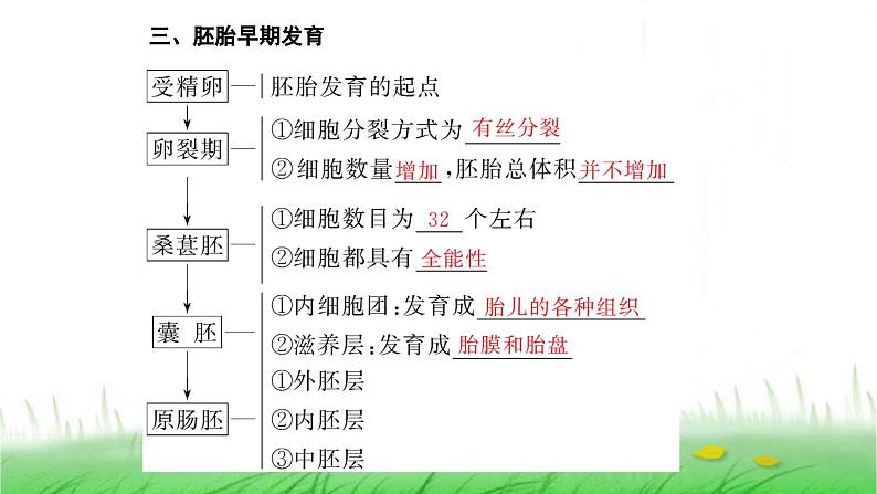 人教版高中生物选择性必修3第2章细胞工程第3节第1课时胚胎工程的理论基础课件第4页