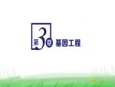 人教版高中生物选择性必修3第3章基因工程第1节重组DNA技术的基本工具课件