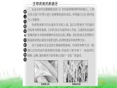人教版高中生物选择性必修3第3章基因工程第1节重组DNA技术的基本工具课件