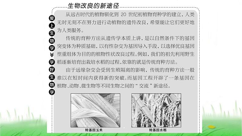 人教版高中生物选择性必修3第3章基因工程第1节重组DNA技术的基本工具课件第2页