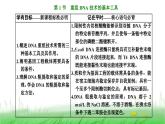 人教版高中生物选择性必修3第3章基因工程第1节重组DNA技术的基本工具课件
