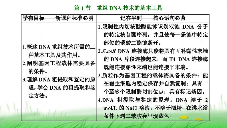 人教版高中生物选择性必修3第3章基因工程第1节重组DNA技术的基本工具课件第4页