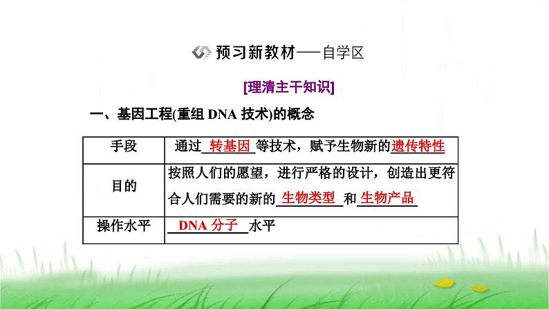 人教版高中生物选择性必修3第3章基因工程第1节重组DNA技术的基本工具课件第5页