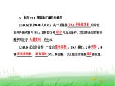 人教版高中生物选择性必修3第3章基因工程第2节基因工程的基本操作程序课件