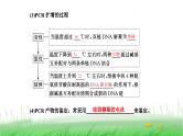 人教版高中生物选择性必修3第3章基因工程第2节基因工程的基本操作程序课件