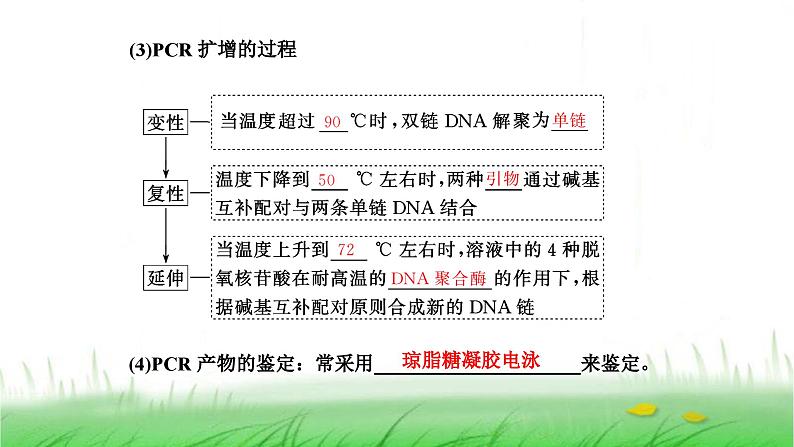 人教版高中生物选择性必修3第3章基因工程第2节基因工程的基本操作程序课件04