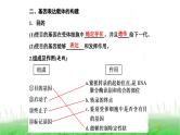人教版高中生物选择性必修3第3章基因工程第2节基因工程的基本操作程序课件
