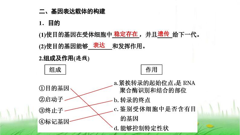 人教版高中生物选择性必修3第3章基因工程第2节基因工程的基本操作程序课件05