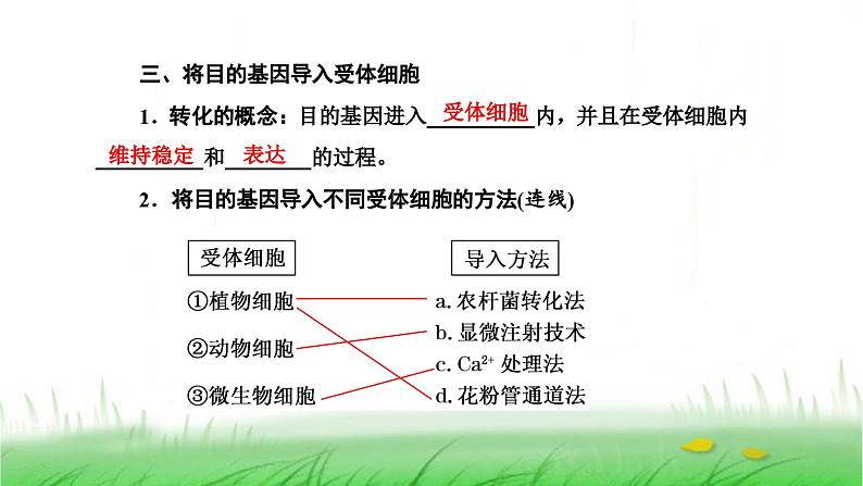 人教版高中生物选择性必修3第3章基因工程第2节基因工程的基本操作程序课件06