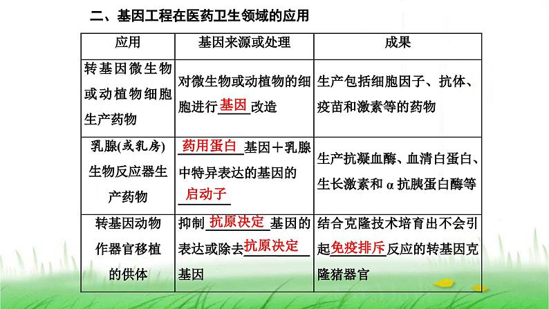 人教版高中生物选择性必修3第3章基因工程第3节基因工程的应用课件04