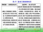 人教版高中生物选择性必修3第3章基因工程第4节蛋白质工程的原理和应用课件