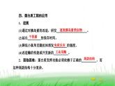 人教版高中生物选择性必修3第3章基因工程第4节蛋白质工程的原理和应用课件
