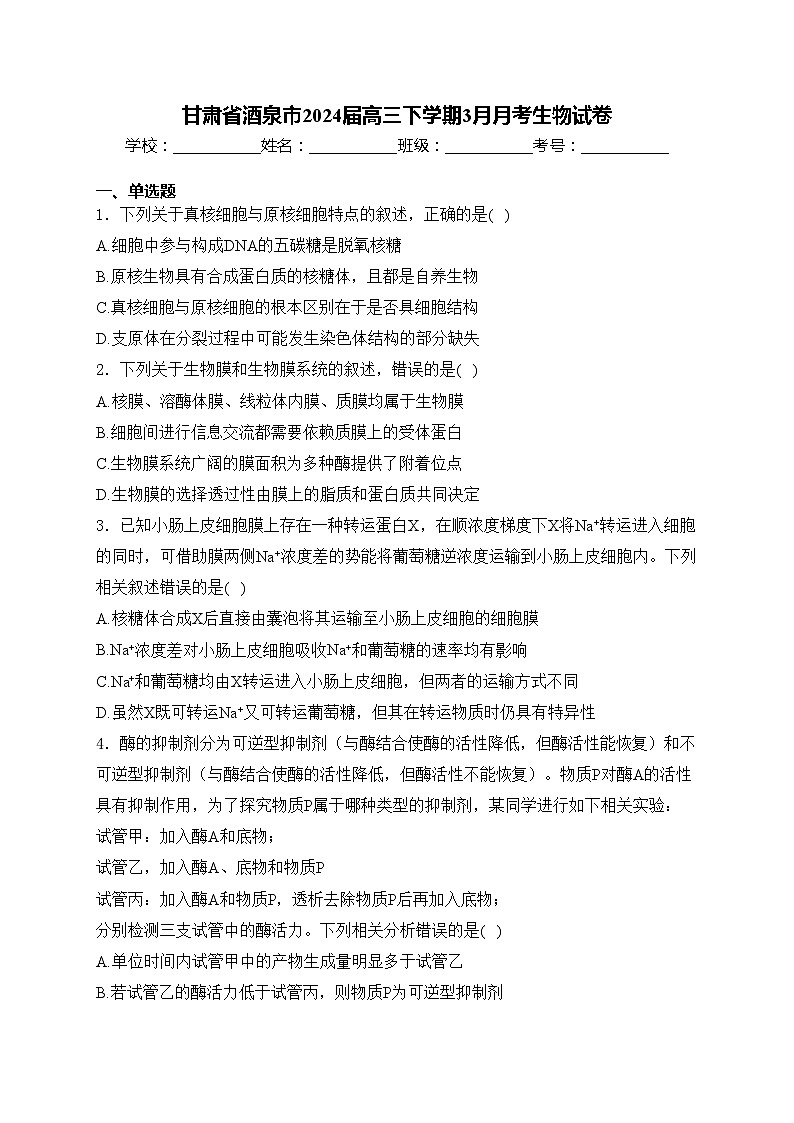 甘肃省酒泉市2024届高三下学期3月月考生物试卷(含答案)第1页