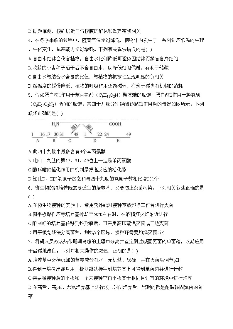 河南省南阳市六校2023-2024学年高二下学期期中考试生物试卷(含答案)第2页