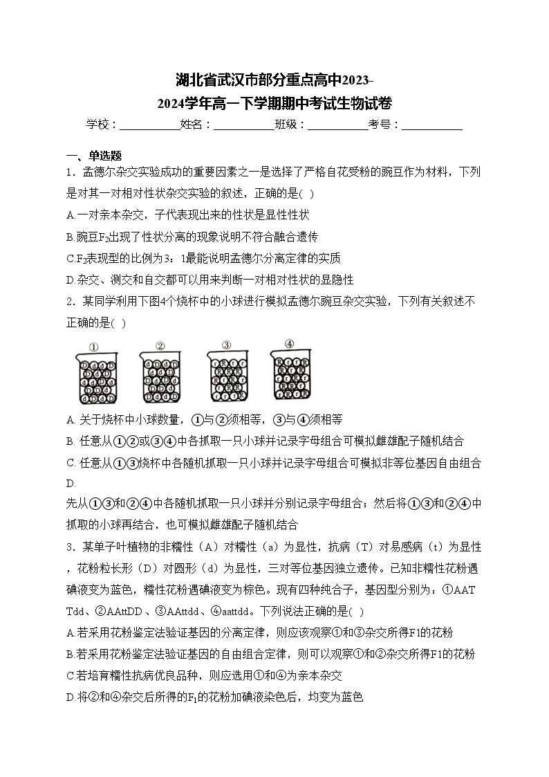 湖北省武汉市部分重点高中2023-2024学年高一下学期期中考试生物试卷(含答案)01