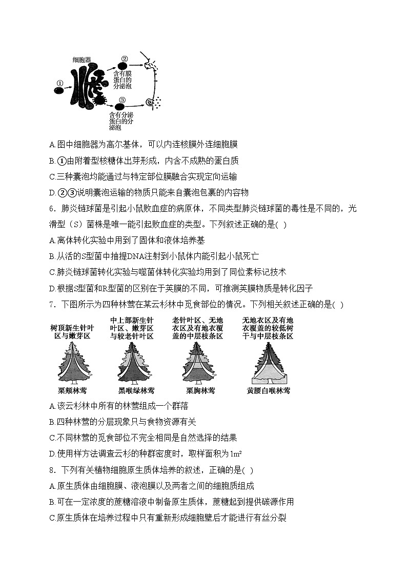 浙江省G5联盟2023-2024学年高二下学期4月期中考试生物试卷(含答案)02