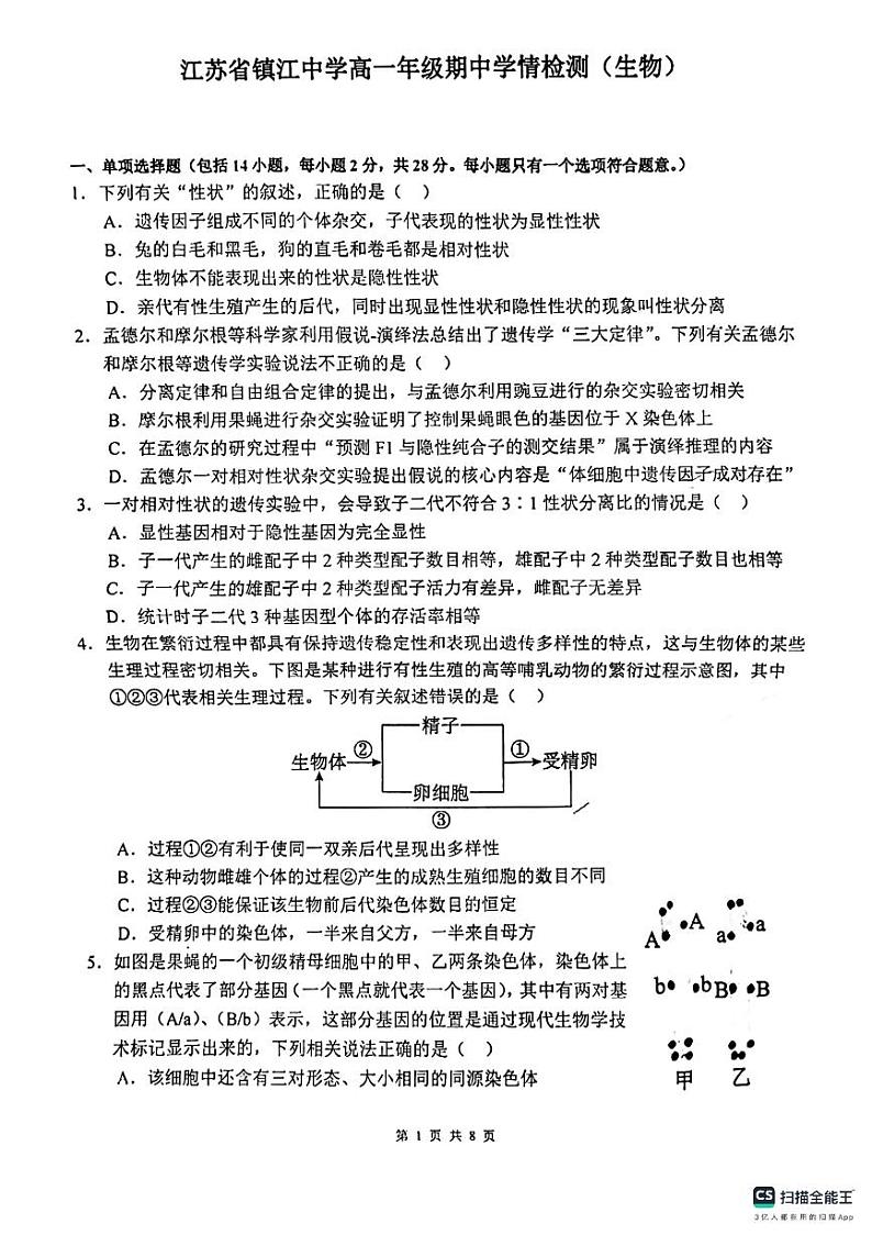 江苏省镇江市润州区镇江中学2023-2024学年高一下学期期中检测生物试题01