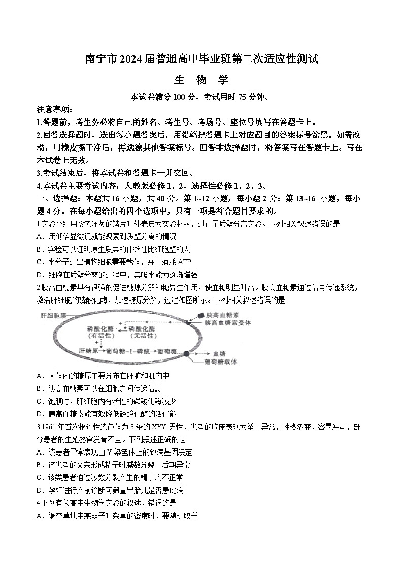 2024届广西届南宁市高三二模生物试卷(无答案)第1页