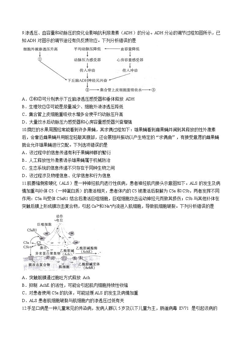 2024届广西届南宁市高三二模生物试卷(无答案)第3页