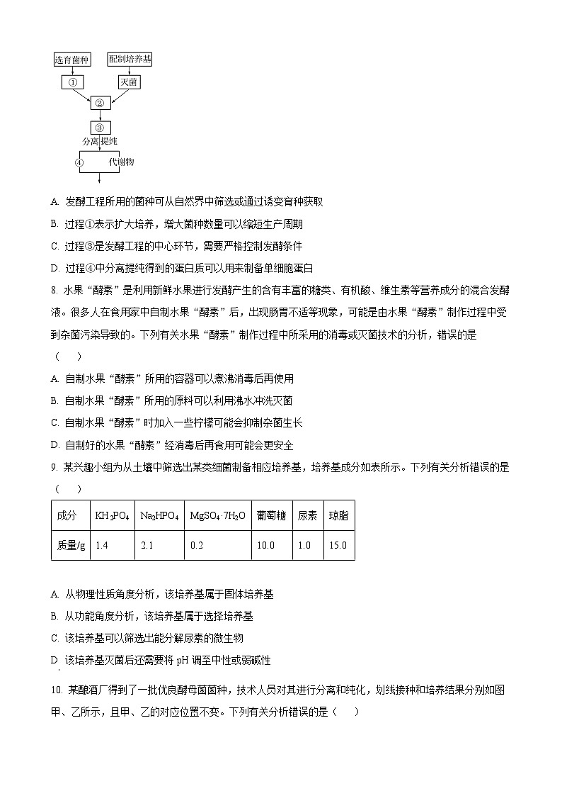 河北省邢台市五岳联盟2023-2024学年高二下学期4月期中考试生物试题（原卷版+解析版）03