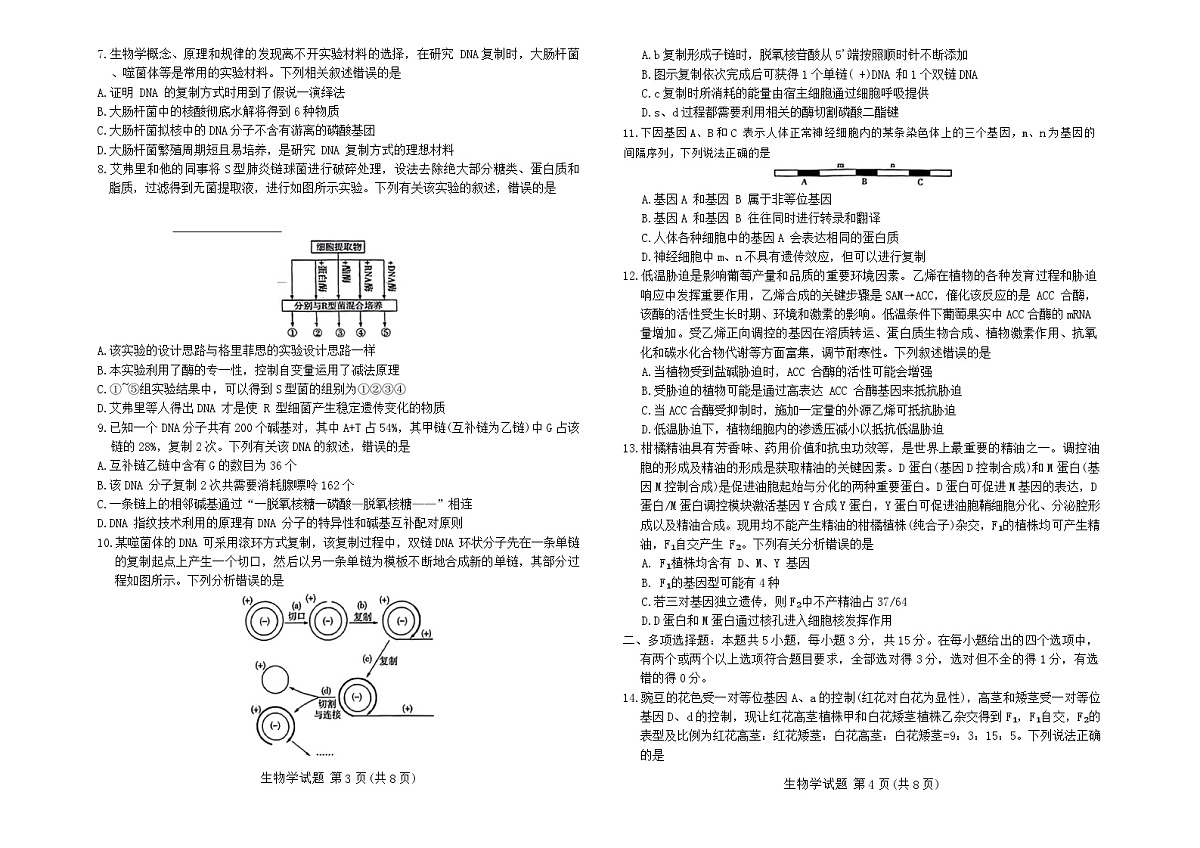 河南省天一期中考试2023-2024学年高一下学期4月期中生物试题第2页