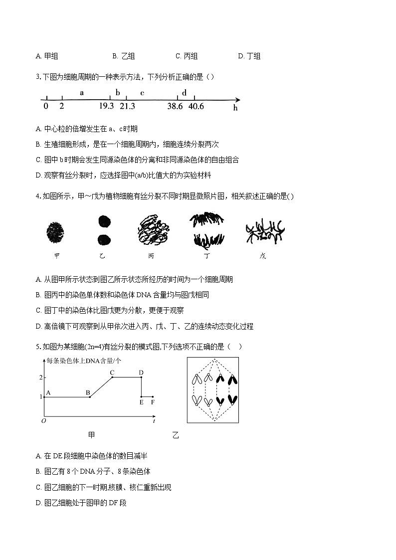 湖北省黄冈市黄梅县育才高级中学2023-2024学年高一下学期4月期中考试生物试题02