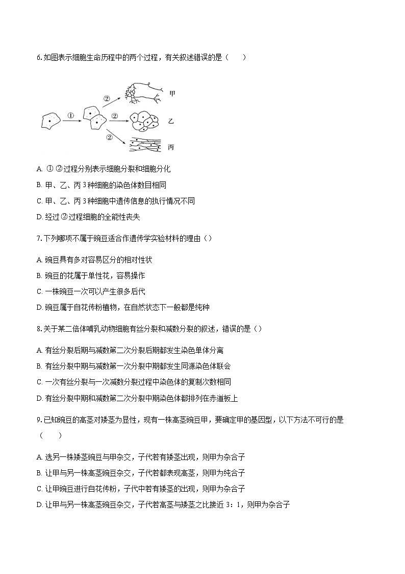 湖北省黄冈市黄梅县育才高级中学2023-2024学年高一下学期4月期中考试生物试题03