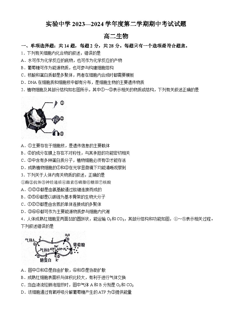 江苏省南通市海安市实验中学2023-2024学年高二下学期4月期中生物试题(无答案)第1页