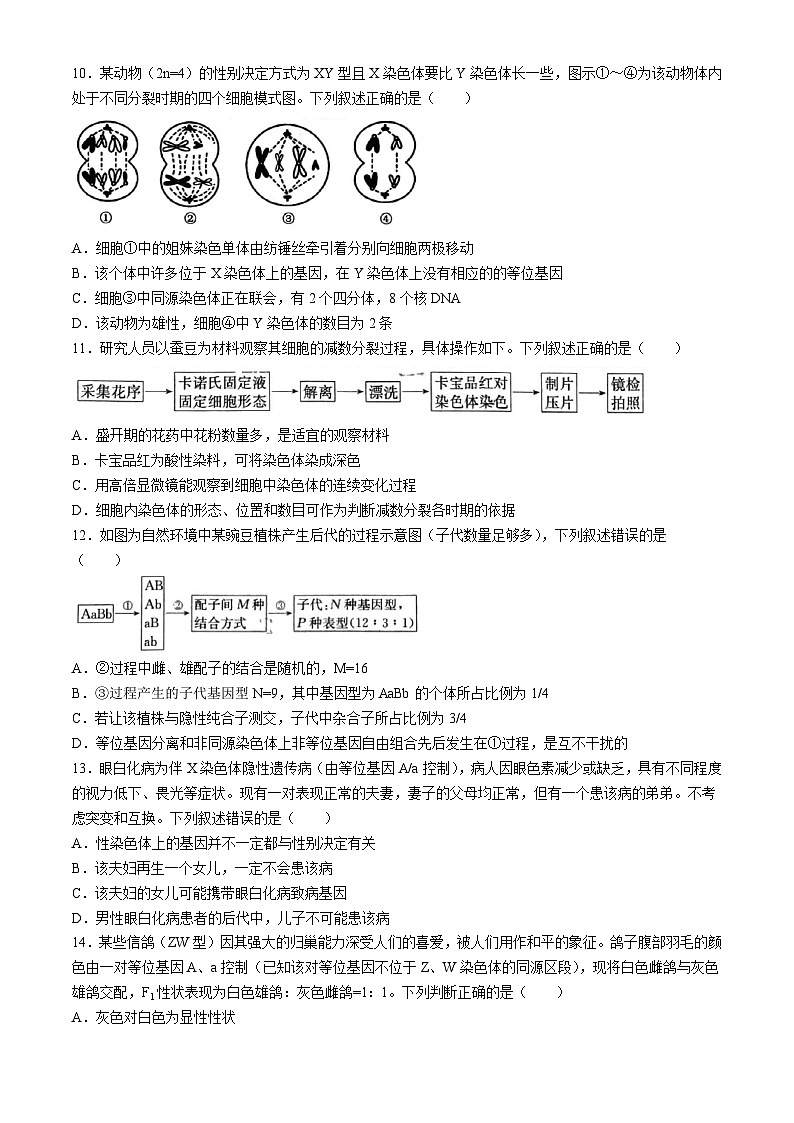 山西省大同市2023-2024学年高一下学期4月期中生物试题第3页