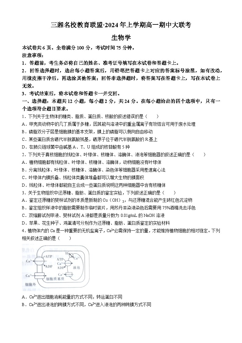 三湘名校教育联盟2023--2024学年高一上学期期中大联考生物试题第1页