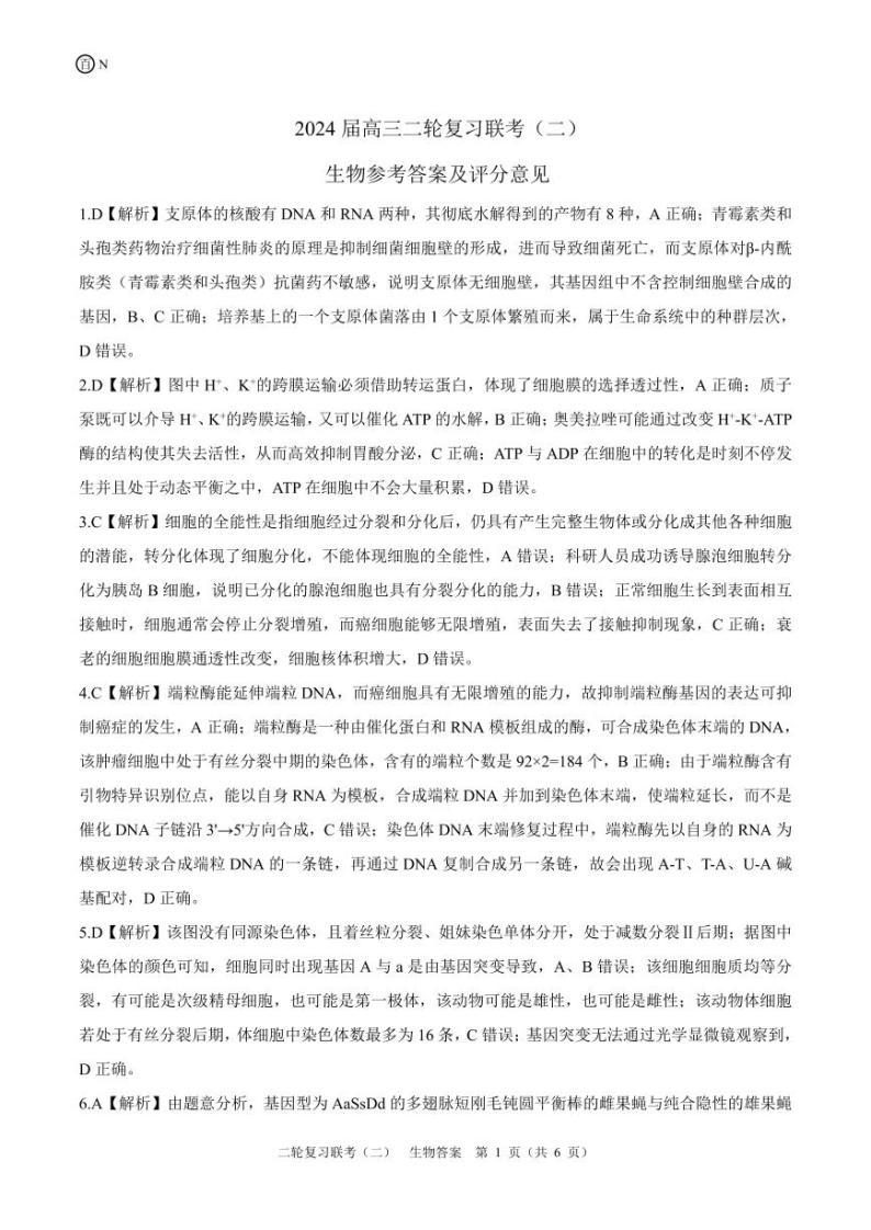 2024届湖南省北师联盟高三下学期二模考试生物试题01