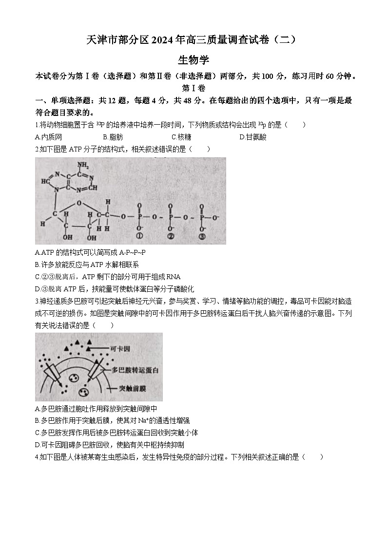 2024届天津市部分区高三下学期质量调查（二）生物试题01