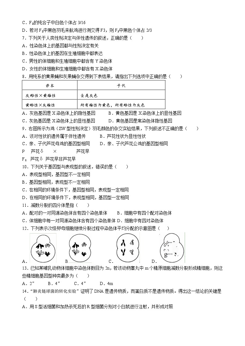 北京市一0一中学2023-2024学年高二下学期期中考试生物试题（等级考）第2页