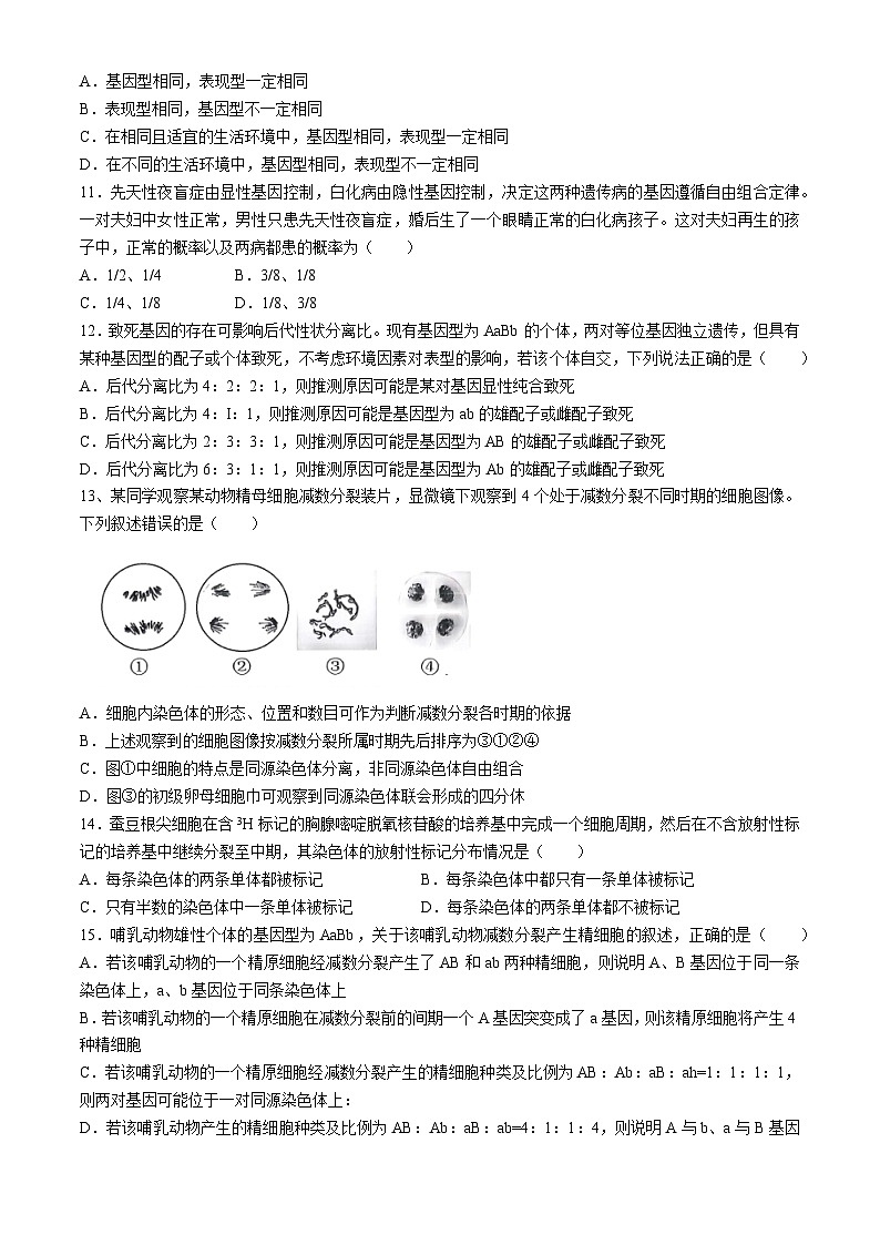 福建省南平市武夷山第一中学2023-2024学年高一下学期4月期中生物试题(无答案)03