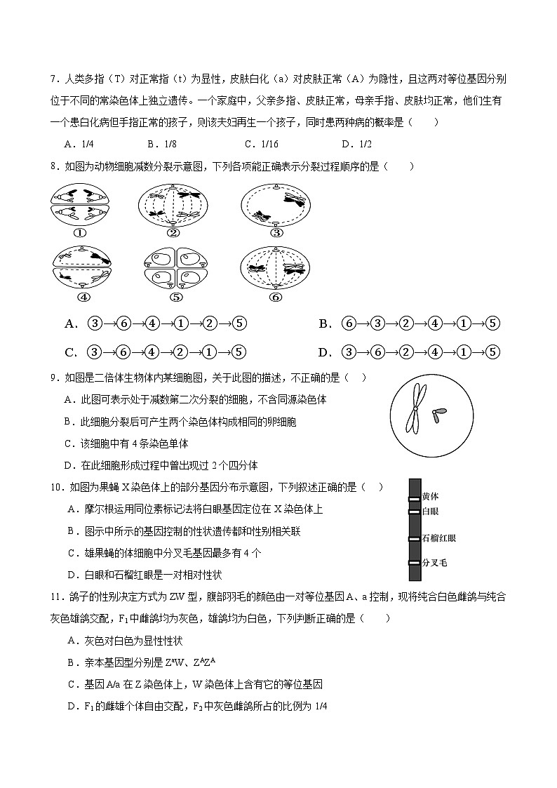 广东省湛江市雷州市第二中学2023-2024学年高一下学期4月期中生物试题第2页