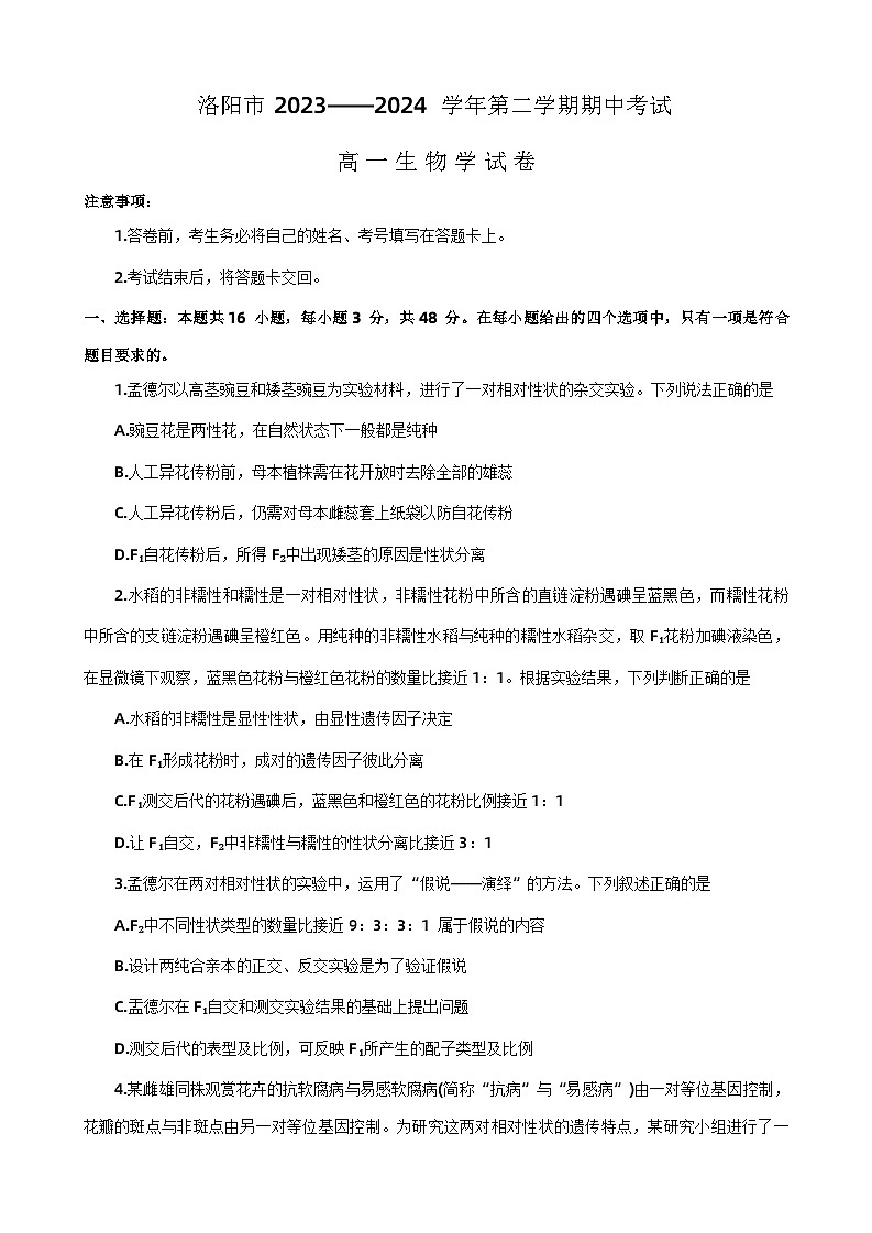 河南省洛阳市2023-2024学年高一下学期期中考试生物试题第1页